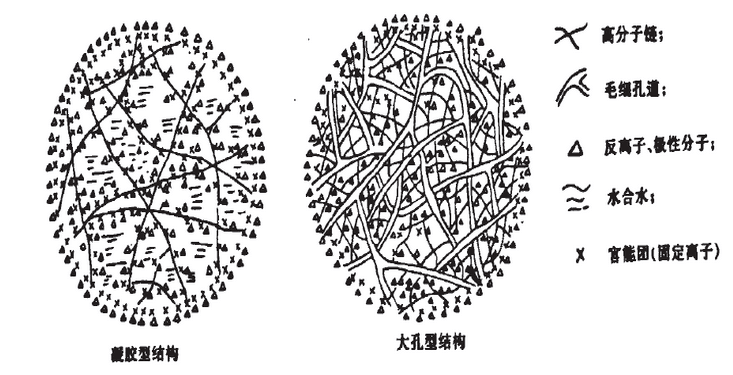 離子交換樹(shù)脂2
